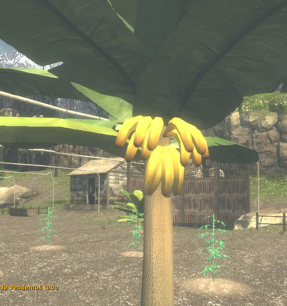 Harvestbananaf.jpg