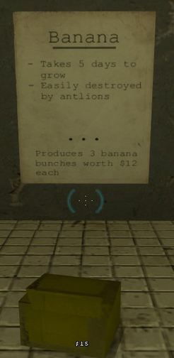 Harvestbanana.jpg